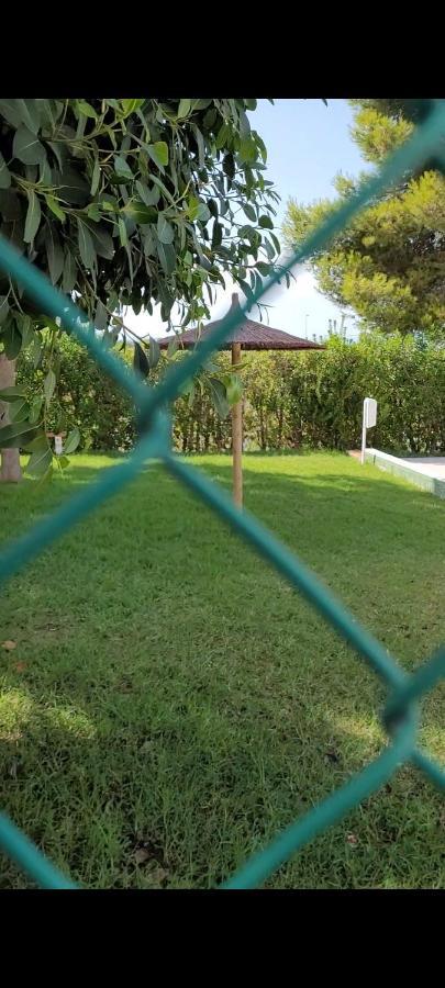 Apartamento Bajo Con Terraza Y Piscina Torrevieja Exteriér fotografie