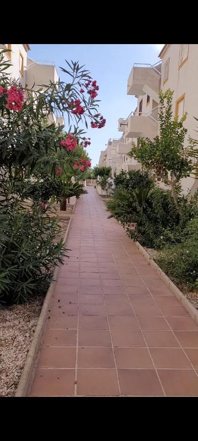 Apartamento Bajo Con Terraza Y Piscina Torrevieja Exteriér fotografie