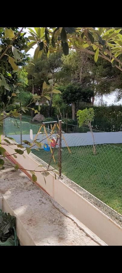 Apartamento Bajo Con Terraza Y Piscina Torrevieja Exteriér fotografie