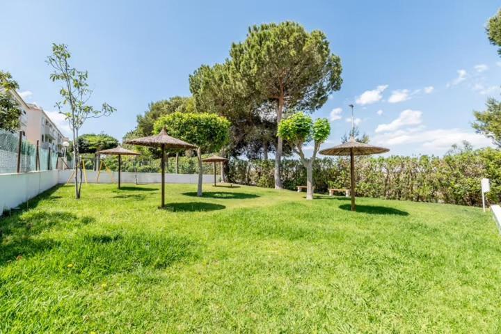 Apartamento Bajo Con Terraza Y Piscina Torrevieja Exteriér fotografie
